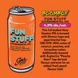 Load image into Gallery viewer, BOOMBOX IPA MIX PACK - VOLUME 2